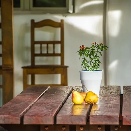 Ferienhaus Szalmaszal Vendeghaz