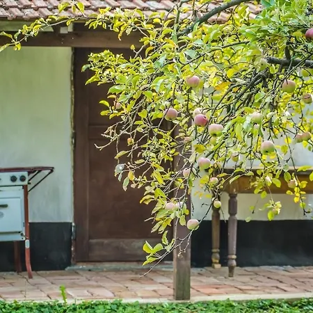 Ferienhaus Szalmaszal Vendeghaz *